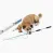 Whimsy Stick the Ultimate Flirt Pole for Dogs interactive dog toy